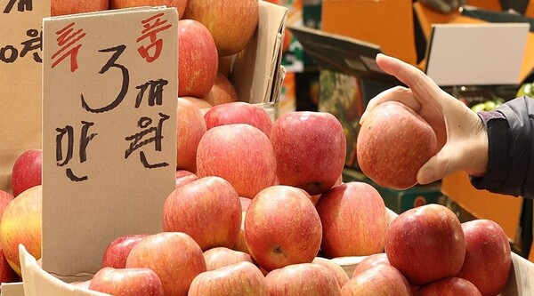 사과에 이어 귤까지 가격이 급등하며 신선과실 물가가 2월에 41.2% 올라 32년만에 최고치로 치솟았다. 귤은 지난달 78.1%, 사과가 71.0% 상승했고 같은 기간 배(61.1%)와 딸기(23.3%) 가격도 올랐다. (연합뉴스)